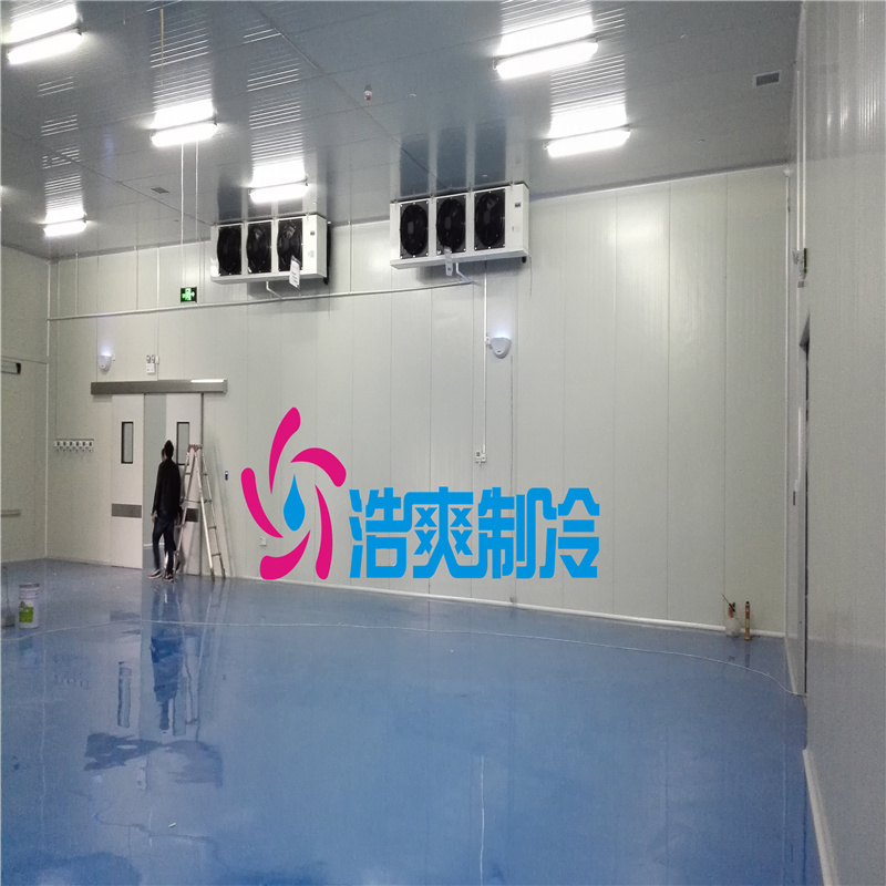 建設(shè)醫(yī)療冷藏庫(kù)的安裝標(biāo)準(zhǔn)有哪些？