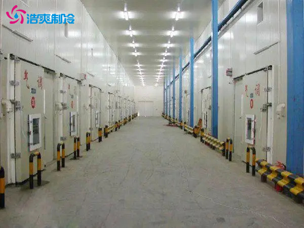 5萬(wàn)斤蘋(píng)果需要建多大冷庫(kù) 大概多少錢(qián)一平方