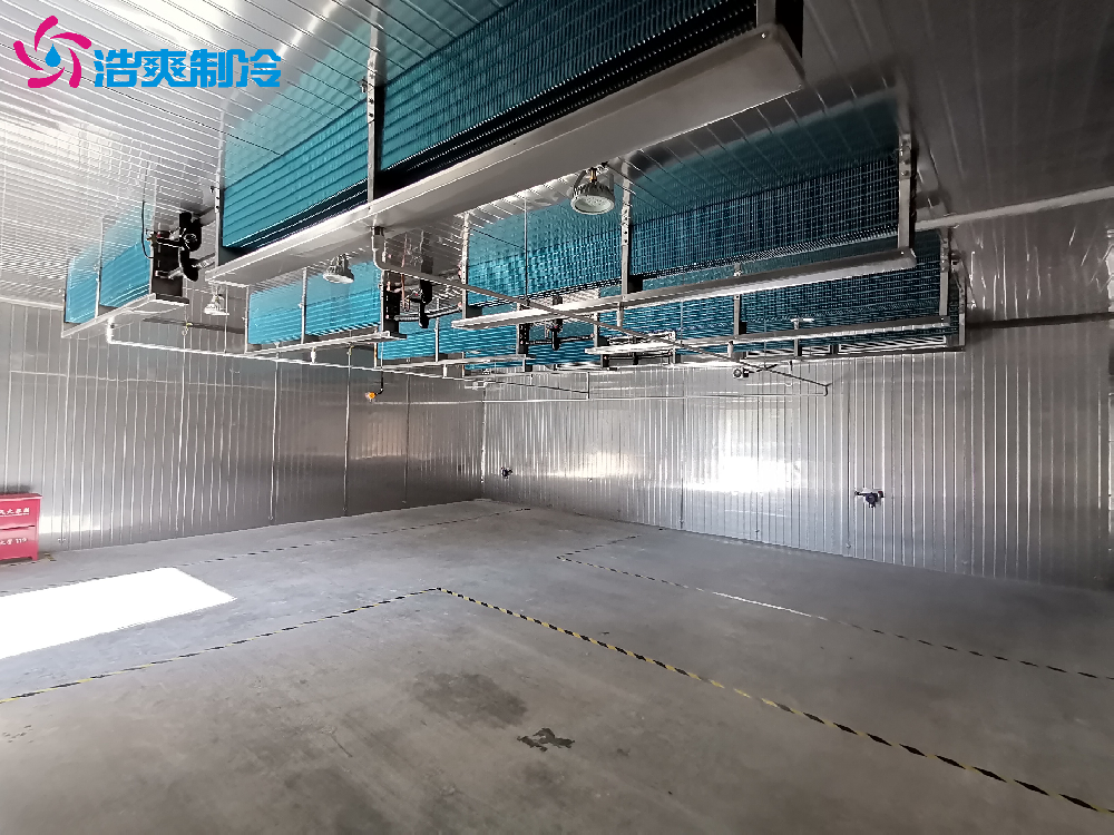 定制IICT4電子化工防爆冷庫安裝設計建造施工方案 定制IICT4電子化工防爆冷庫安裝設計建造施工方案