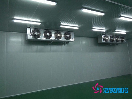 四川核源實(shí)業(yè)1000平方核桃氣調(diào)保鮮冷庫(kù)建造案例