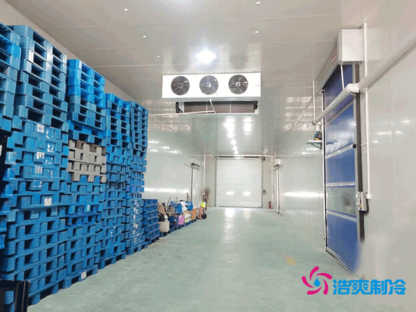 建造一個(gè)800平方米的食品冷庫需要多少費(fèi)用呢？