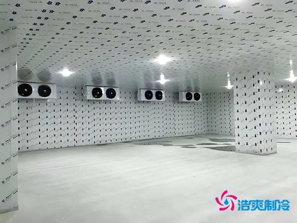 100平方冷凍庫(kù)設(shè)計(jì)安裝造價(jià)多少錢(qián)？