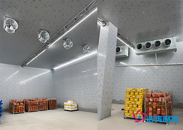 1000噸果蔬保鮮庫造價揭秘，節省成本就靠這幾點！