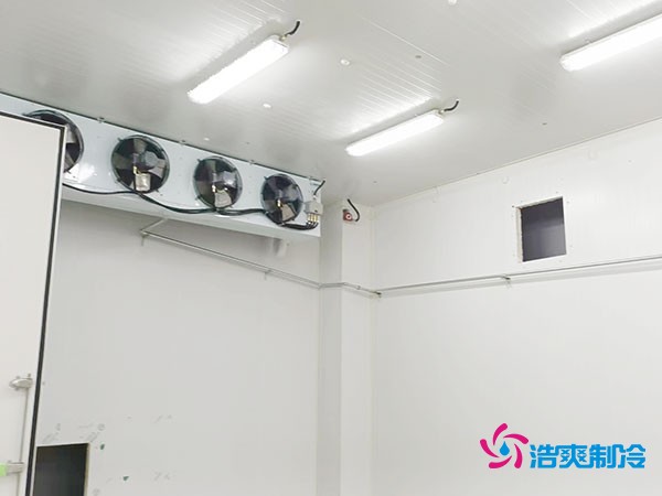 上海小型冷庫造價揭秘！2萬起真的靠譜嗎？