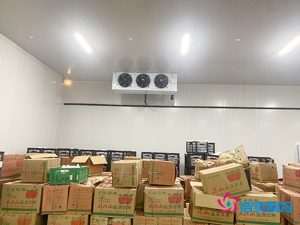 果蔬保鮮冷庫的建造費用