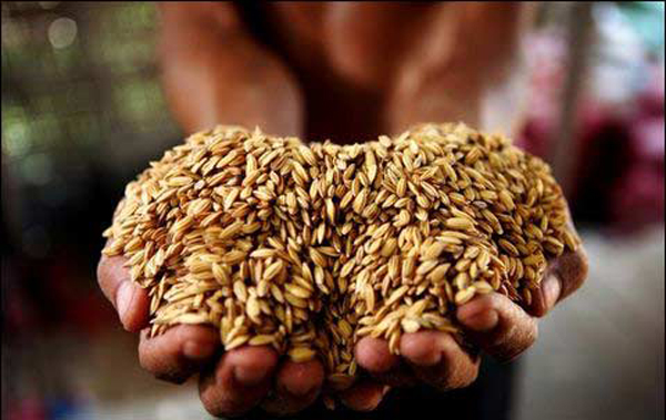 冷庫(kù)補(bǔ)貼