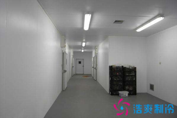 預(yù)建1000噸果蔬冷庫設(shè)計(jì)規(guī)劃，冷庫價(jià)格多少錢