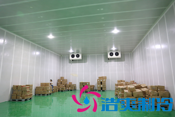 上海藥廠建造-20℃醫(yī)藥血漿冷庫，超低溫血漿冷庫定制預(yù)算多少