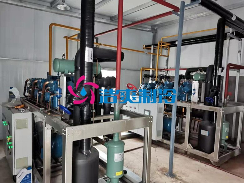 浩爽制冷，凈菜加工冷藏庫