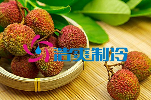 浩爽制冷，氣調(diào)庫